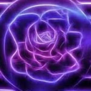 Meet your Posher, Alena